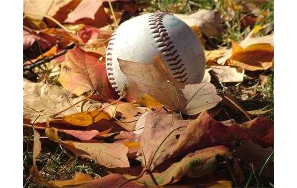 Fall Ball Registration is OPEN