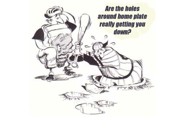 Saturday 2/11 - Field Maintenance Day!